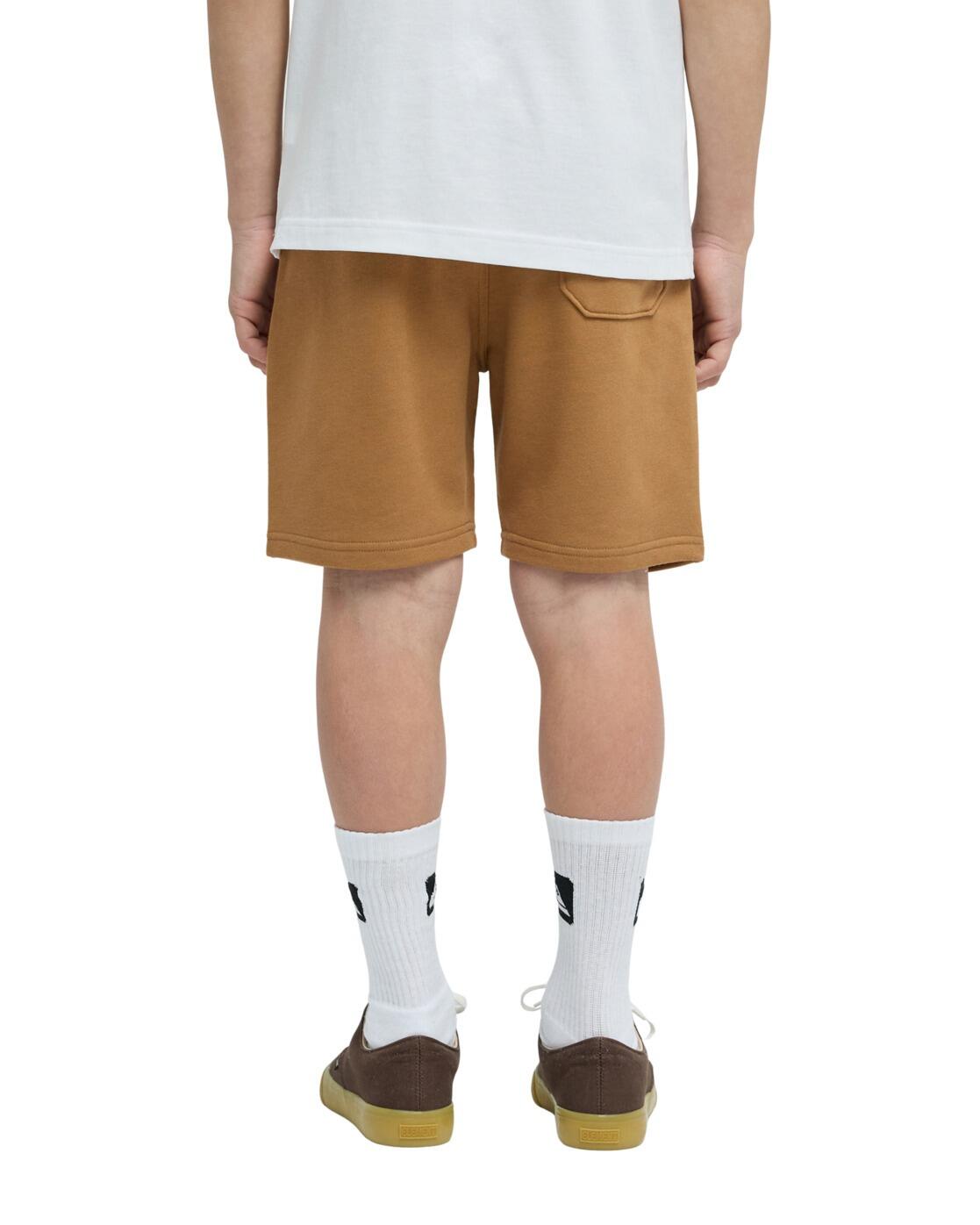 Shorts mit elastischem Bund EASY DAY Braun Junge 2/4