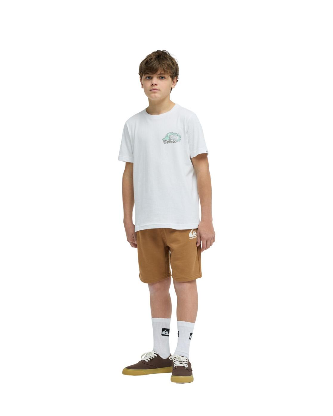 Shorts mit elastischem Bund EASY DAY Braun Junge 4/4