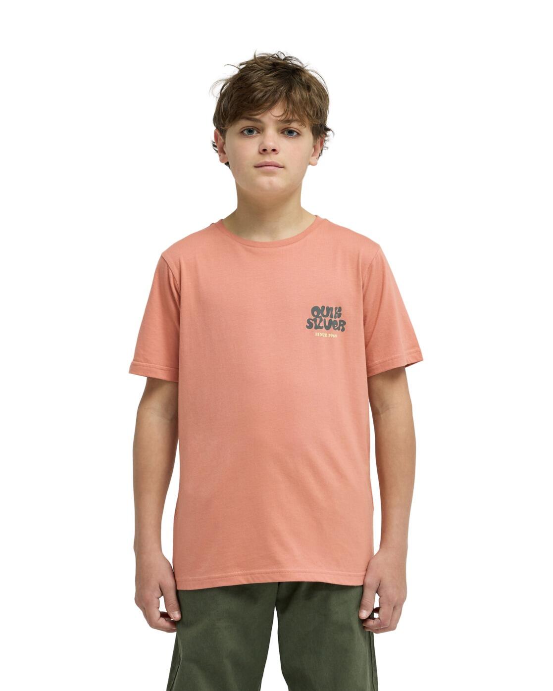 QUIKSILVER picture