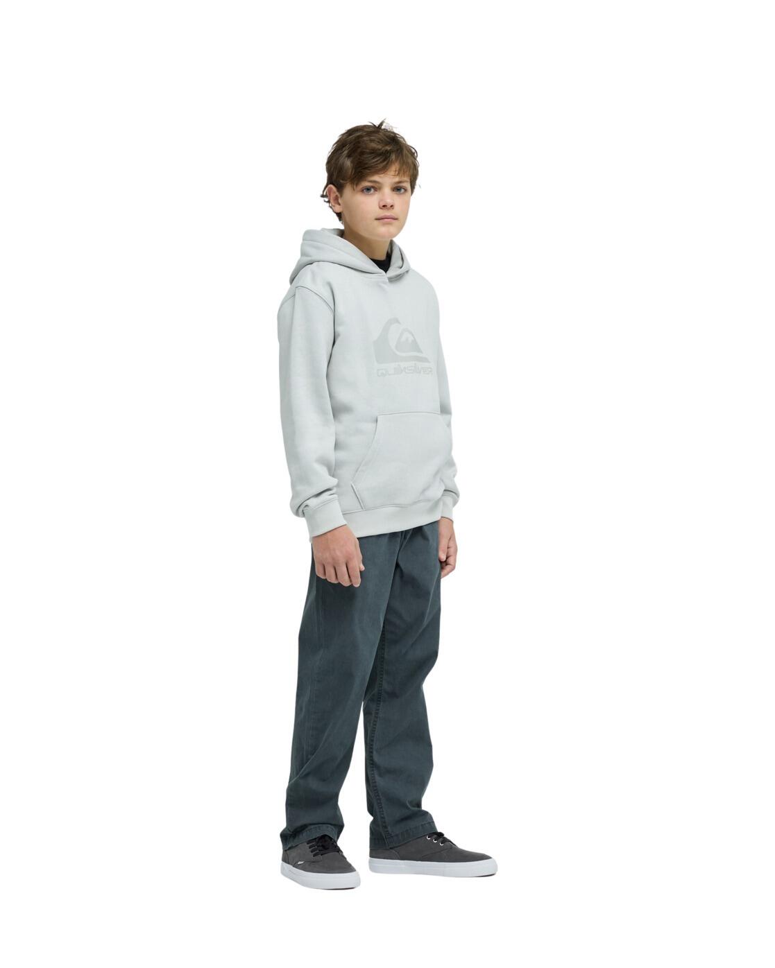Sweat à capuche COMP LOGO Gris Garçon 4/4