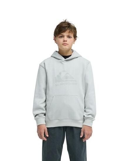 Sweat à capuche COMP LOGO Gris Garçon