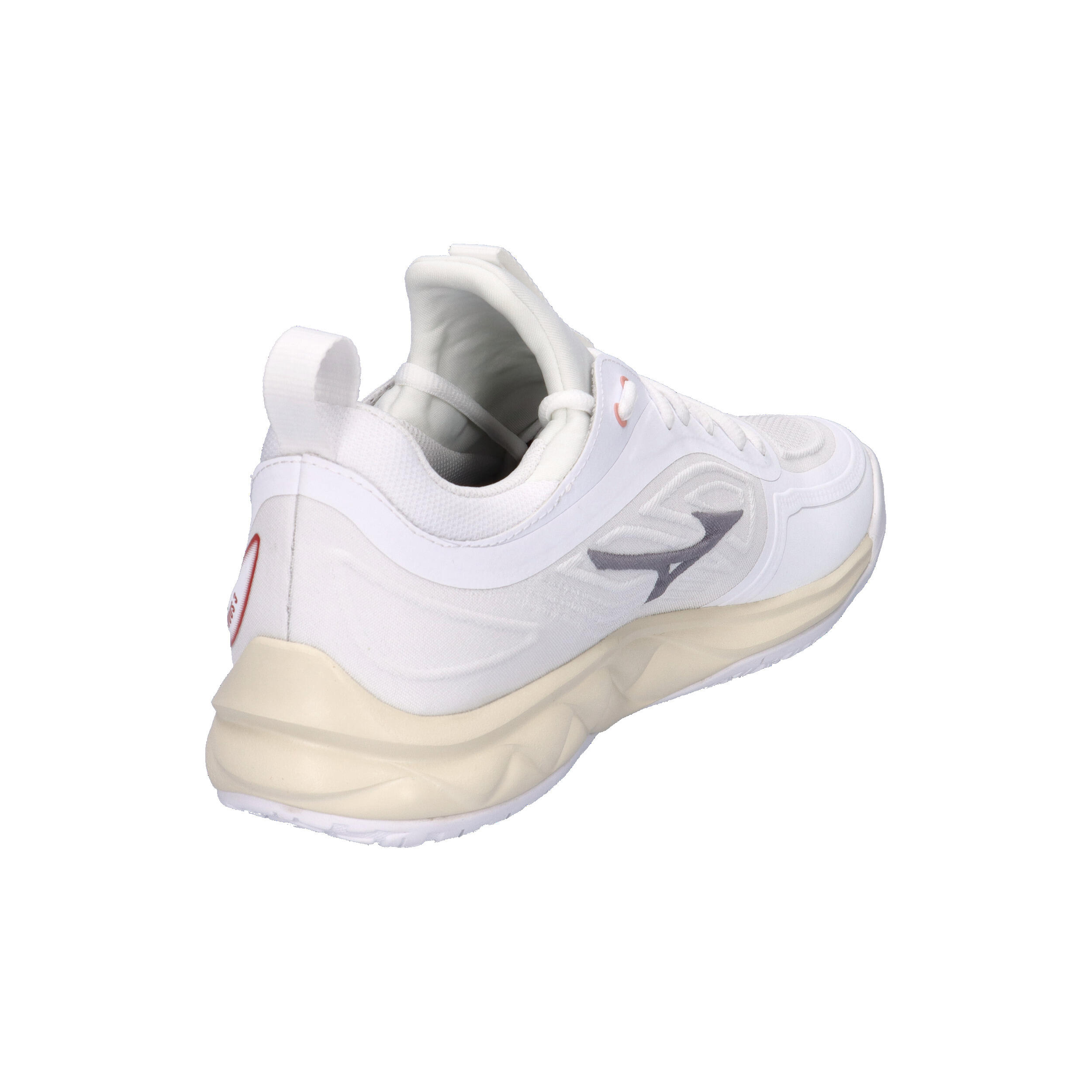 Chaussures indoor femme Mizuno Wave Luminous 6/7