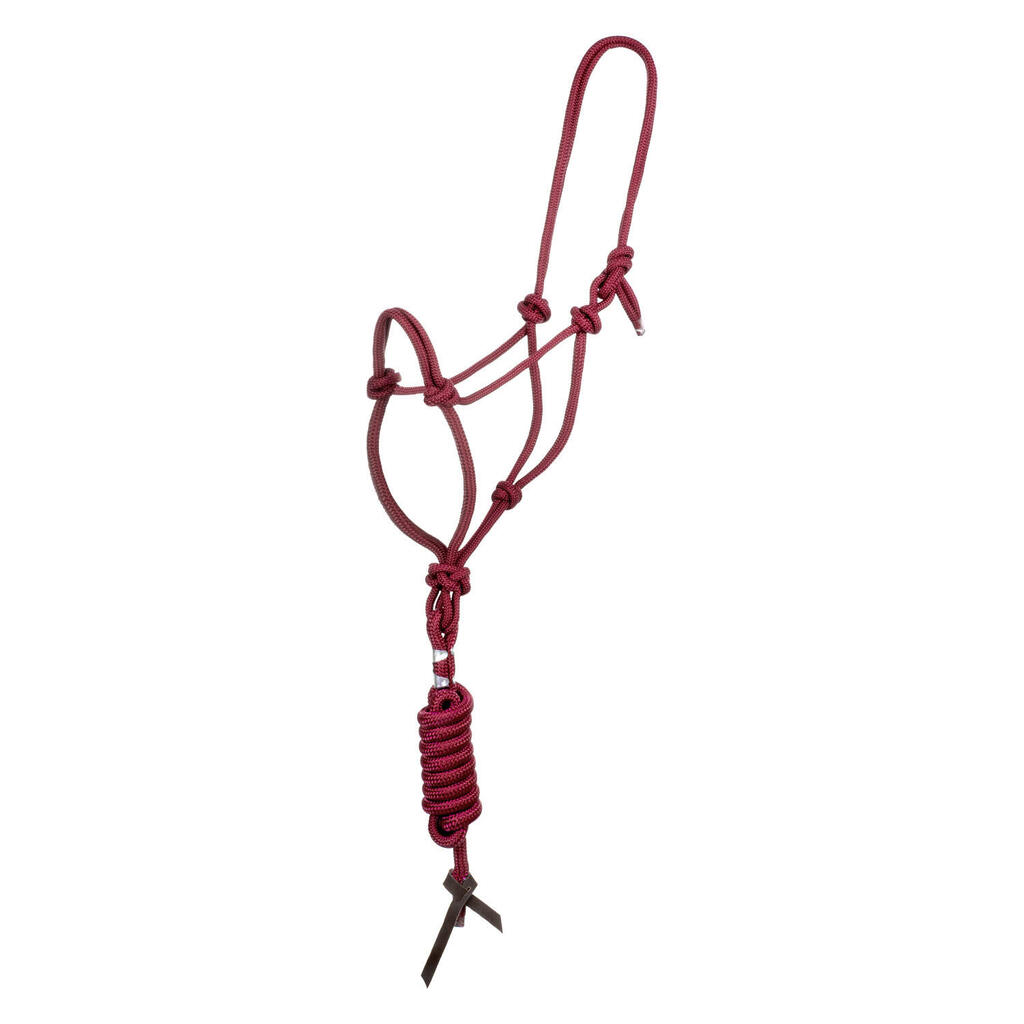 Knotted rope halter with lead