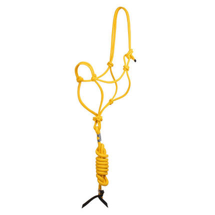 Knotenseilhalfter mit führstrick