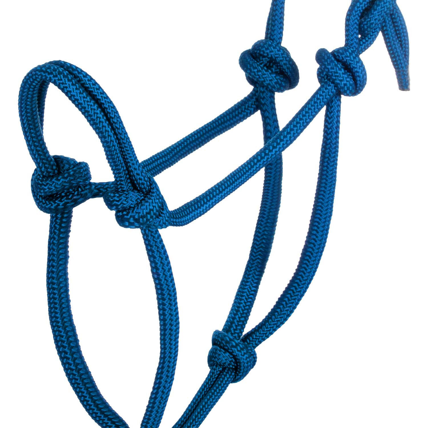 Knotenseilhalfter mit führstrick 3/5