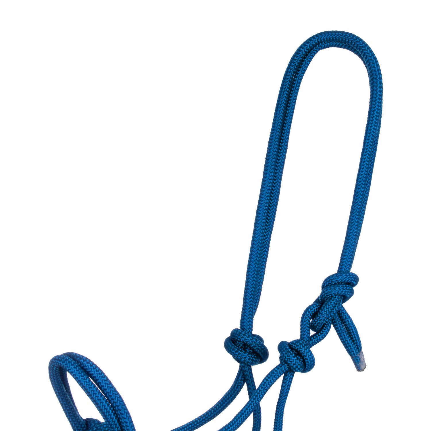 Knotenseilhalfter mit führstrick 2/5