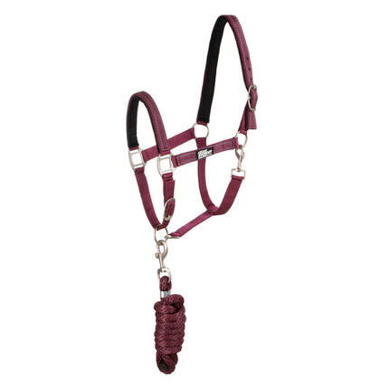 Licol en nylon avec longe