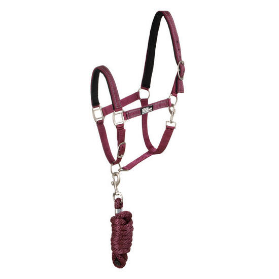 Licol en nylon avec longe