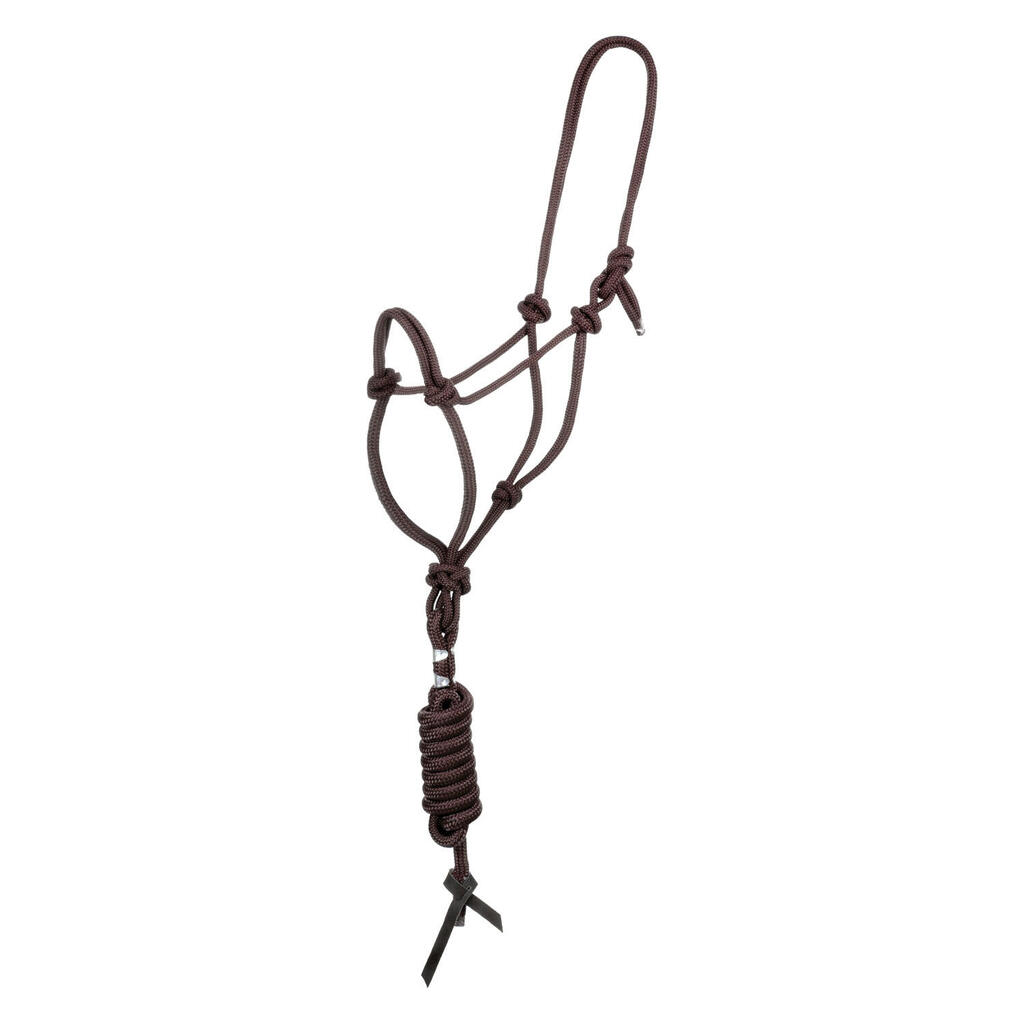 Knotted rope halter with lead