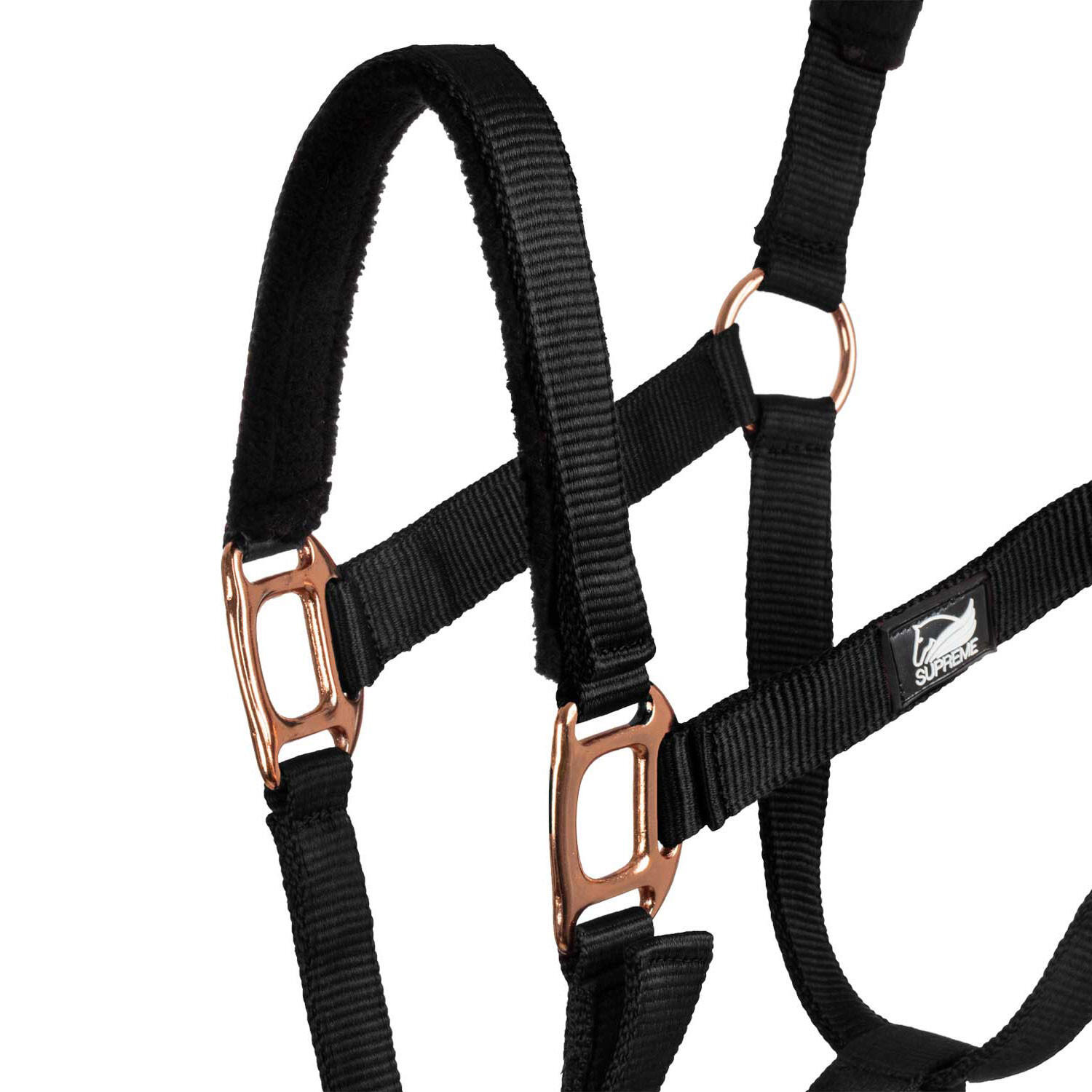 Licol en nylon avec double néoprène et longe 3/5