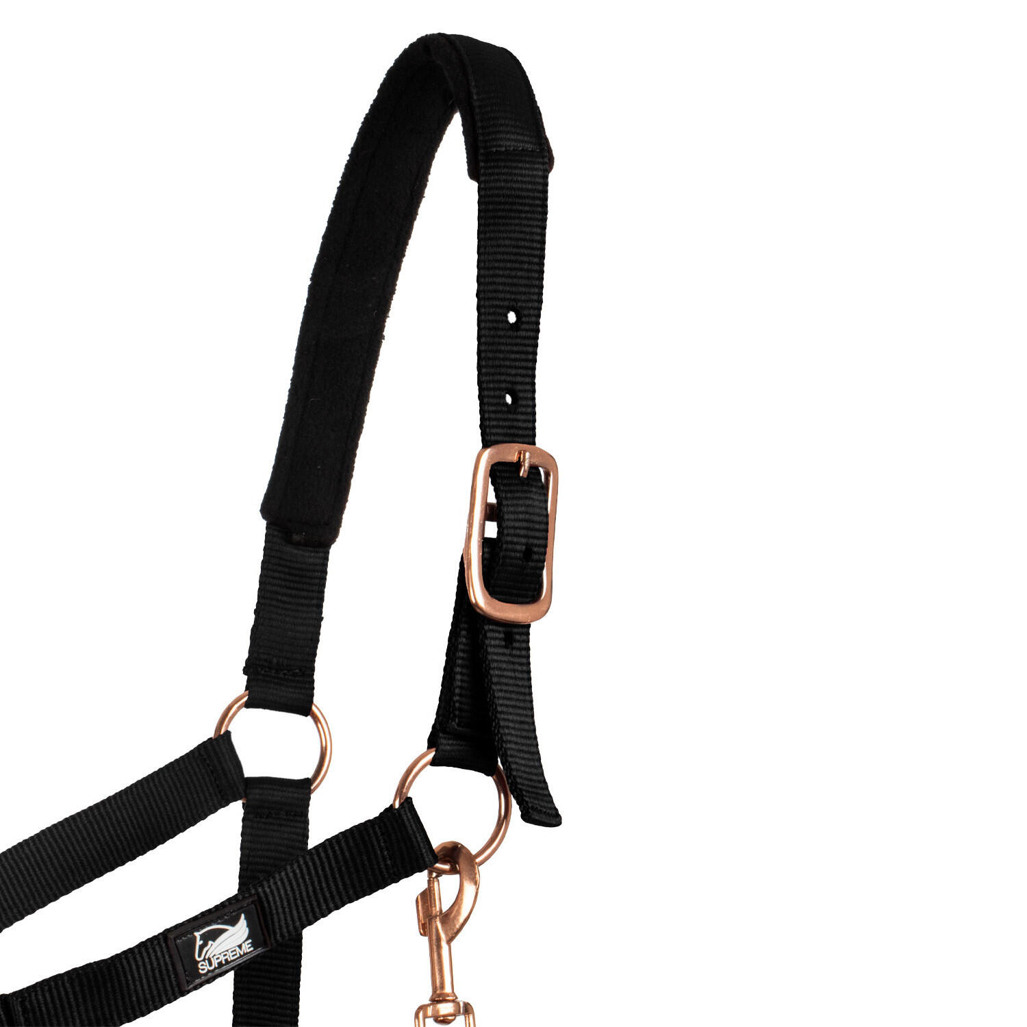 Licol en nylon avec double néoprène et longe 2/5