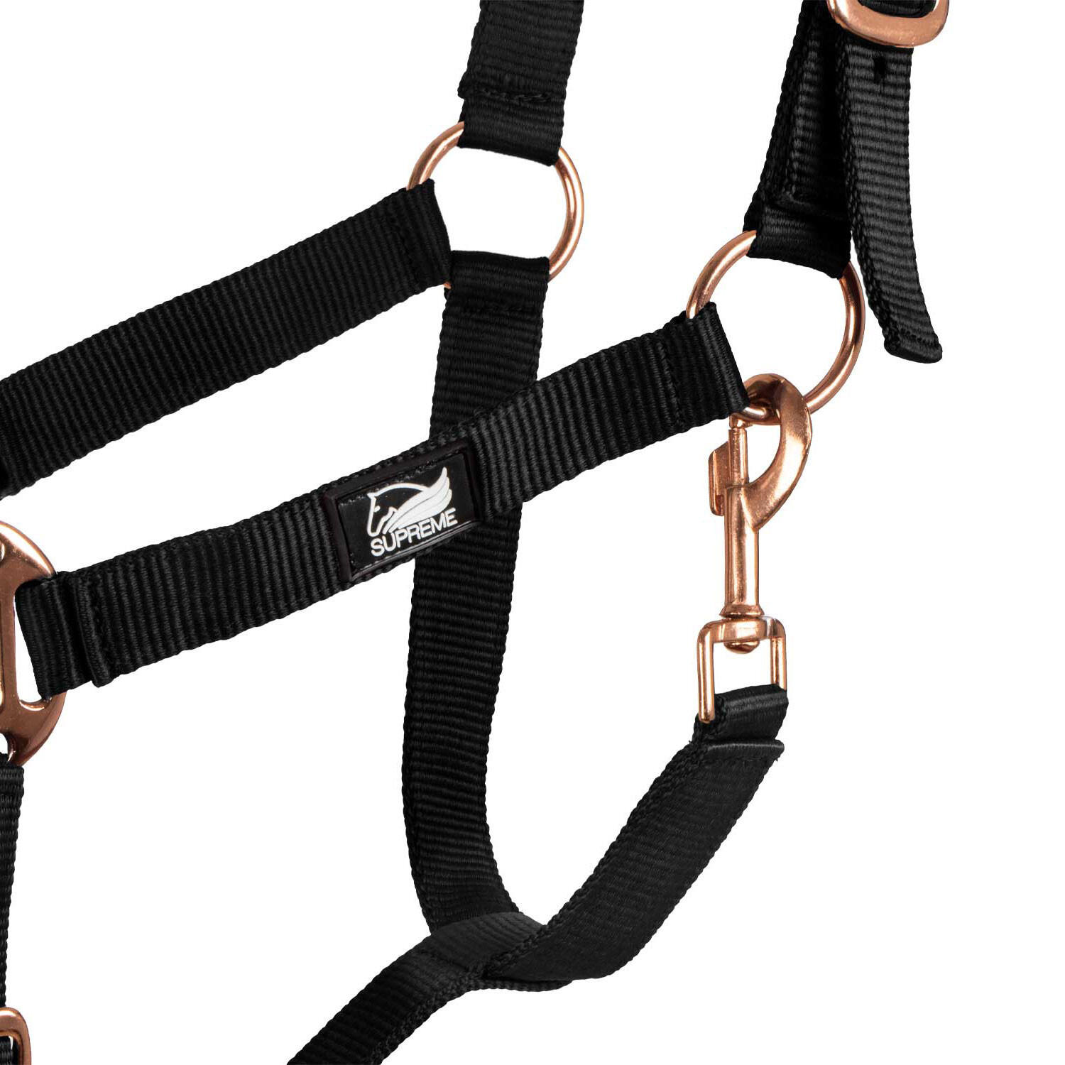 Licol en nylon avec double néoprène et longe 5/5