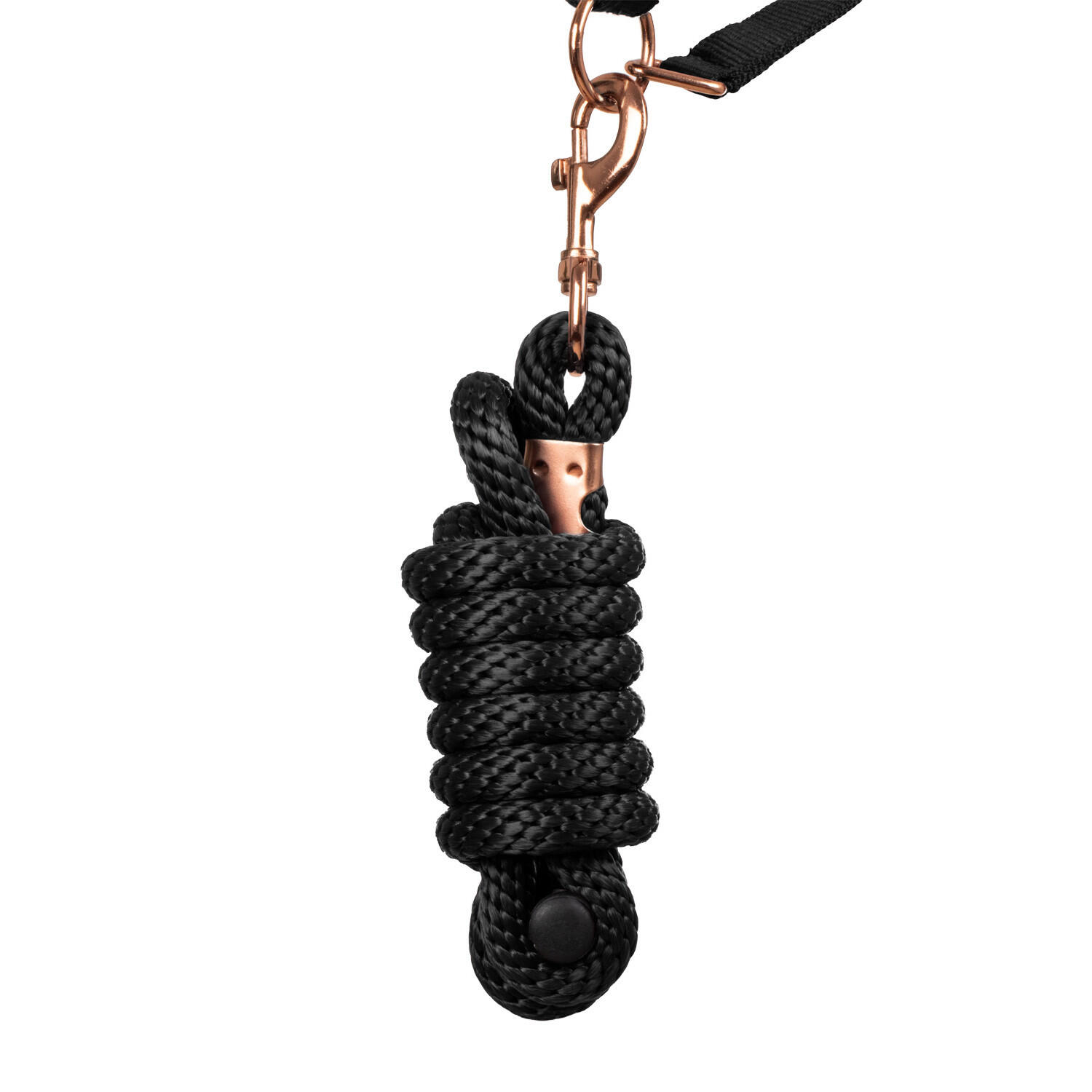 Licol en nylon avec double néoprène et longe 4/5