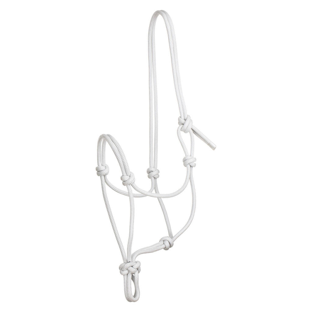 Knotted rope halter