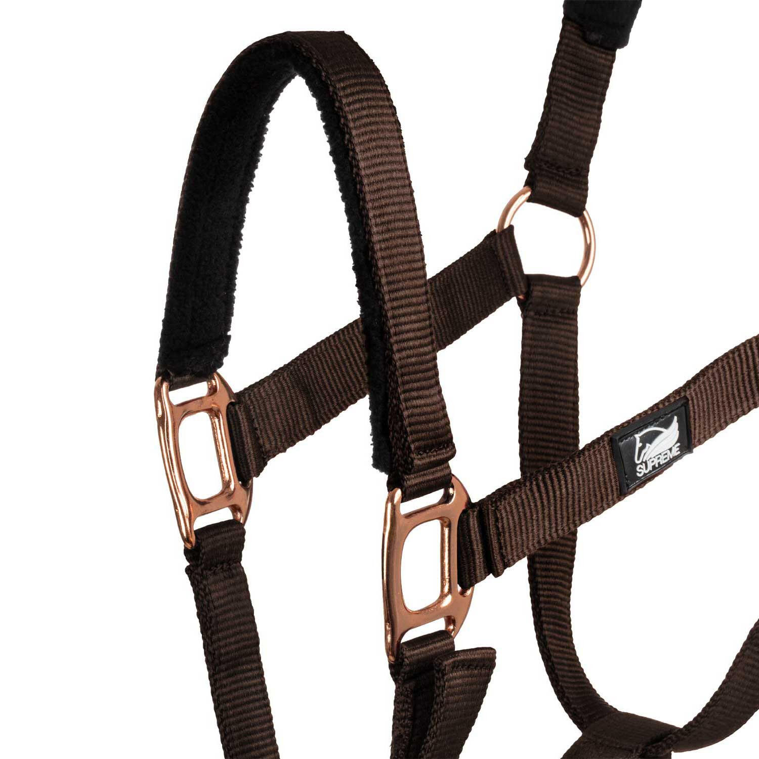 Licol en nylon avec double néoprène et longe 3/5