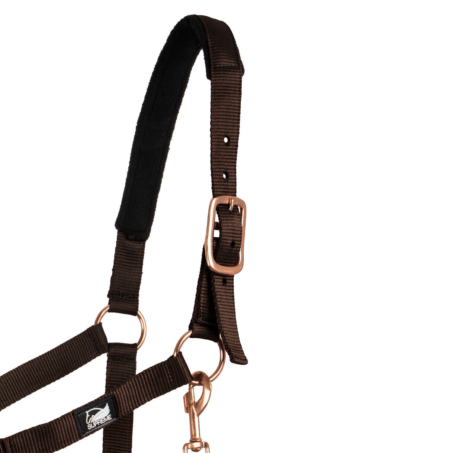 Licol en nylon avec double néoprène et longe 2/5