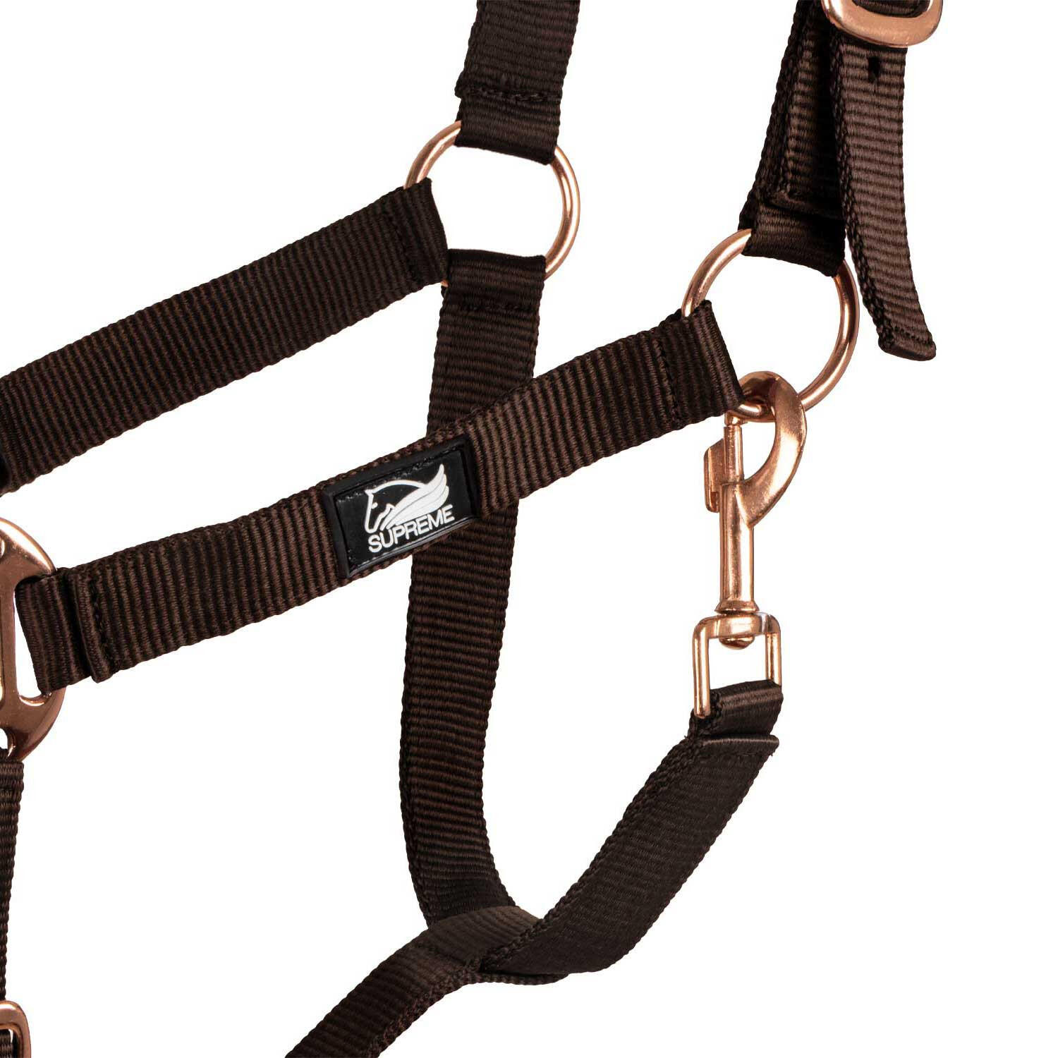 Licol en nylon avec double néoprène et longe 5/5