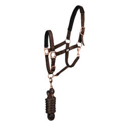 Licol en nylon avec double néoprène et longe