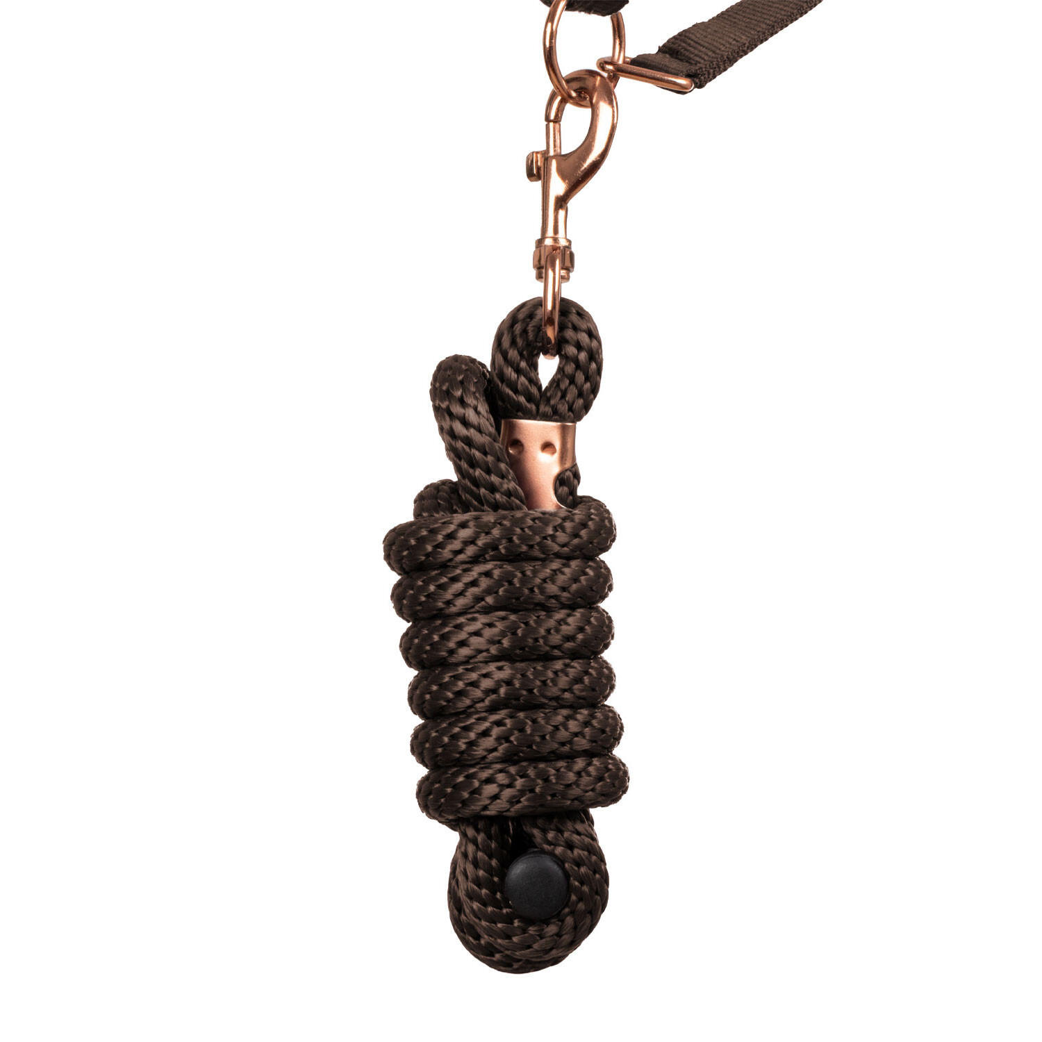 Licol en nylon avec double néoprène et longe 4/5