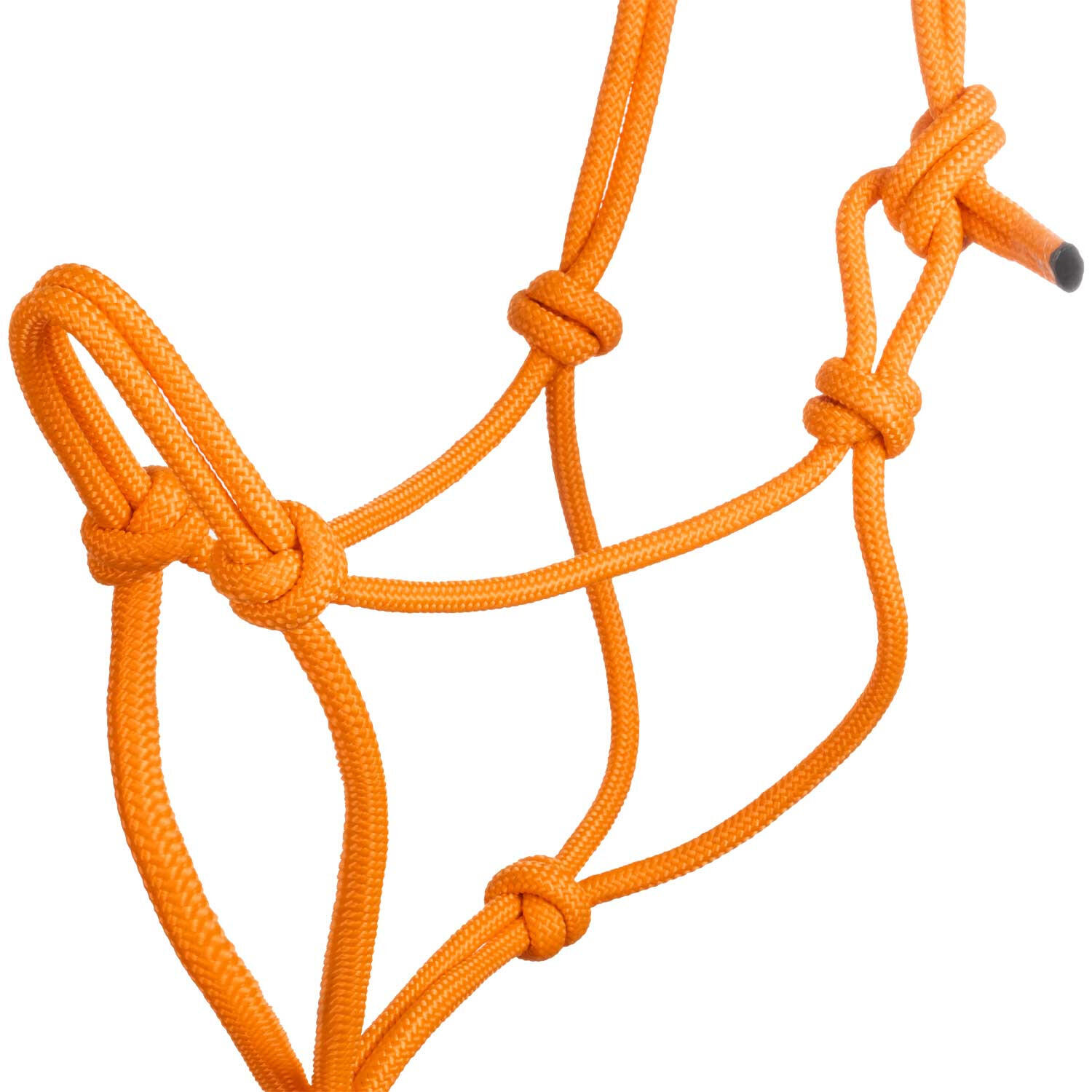 Knotenseilhalfter mit führstrick 3/5