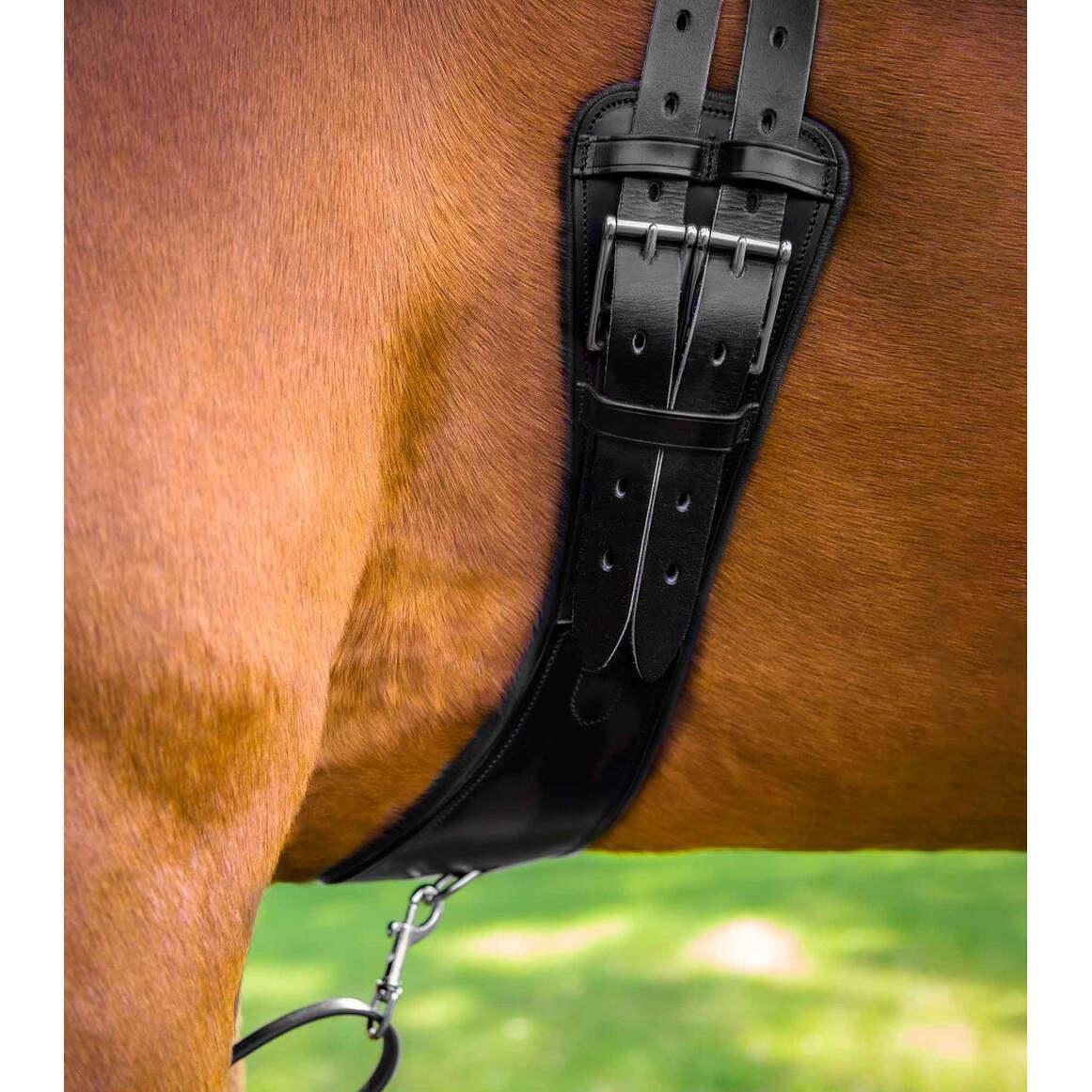 Sangle anatomique d'équitation en cuir Premier Equine Tamarro 3/4