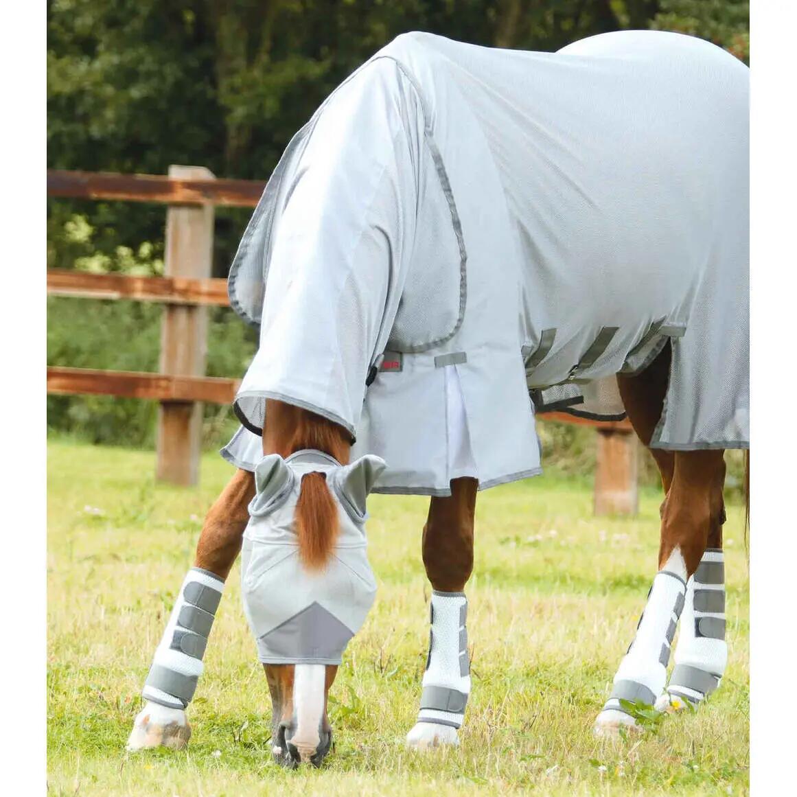 Guêtres pour cheval anti-insectes et anti-mouches Premier Equine Pro-Tech 3/6