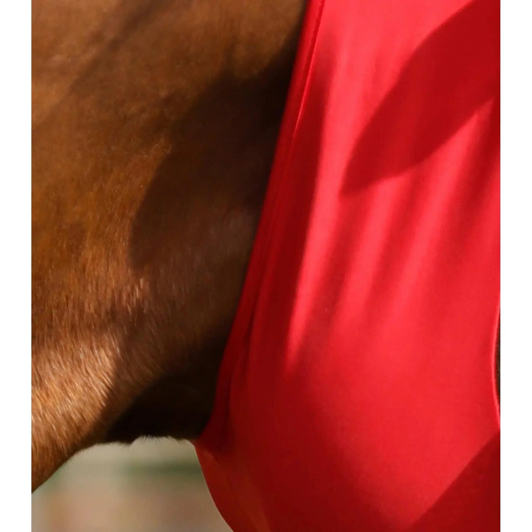 Máscara antimoscas para caballos Premier Equine Comfort Tech Xtra Lycra 3/4