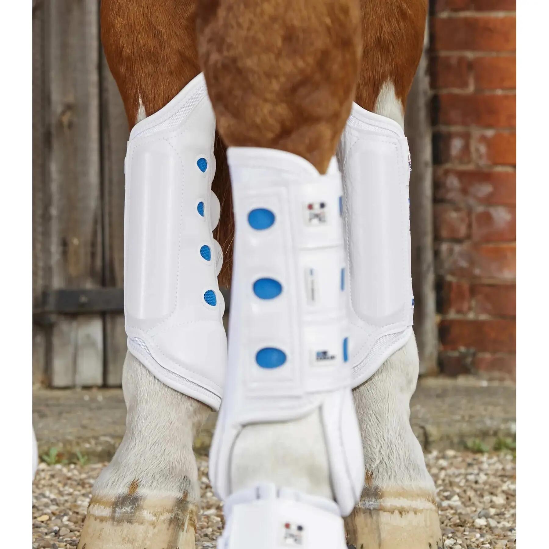 PREMIER EQUINE picture