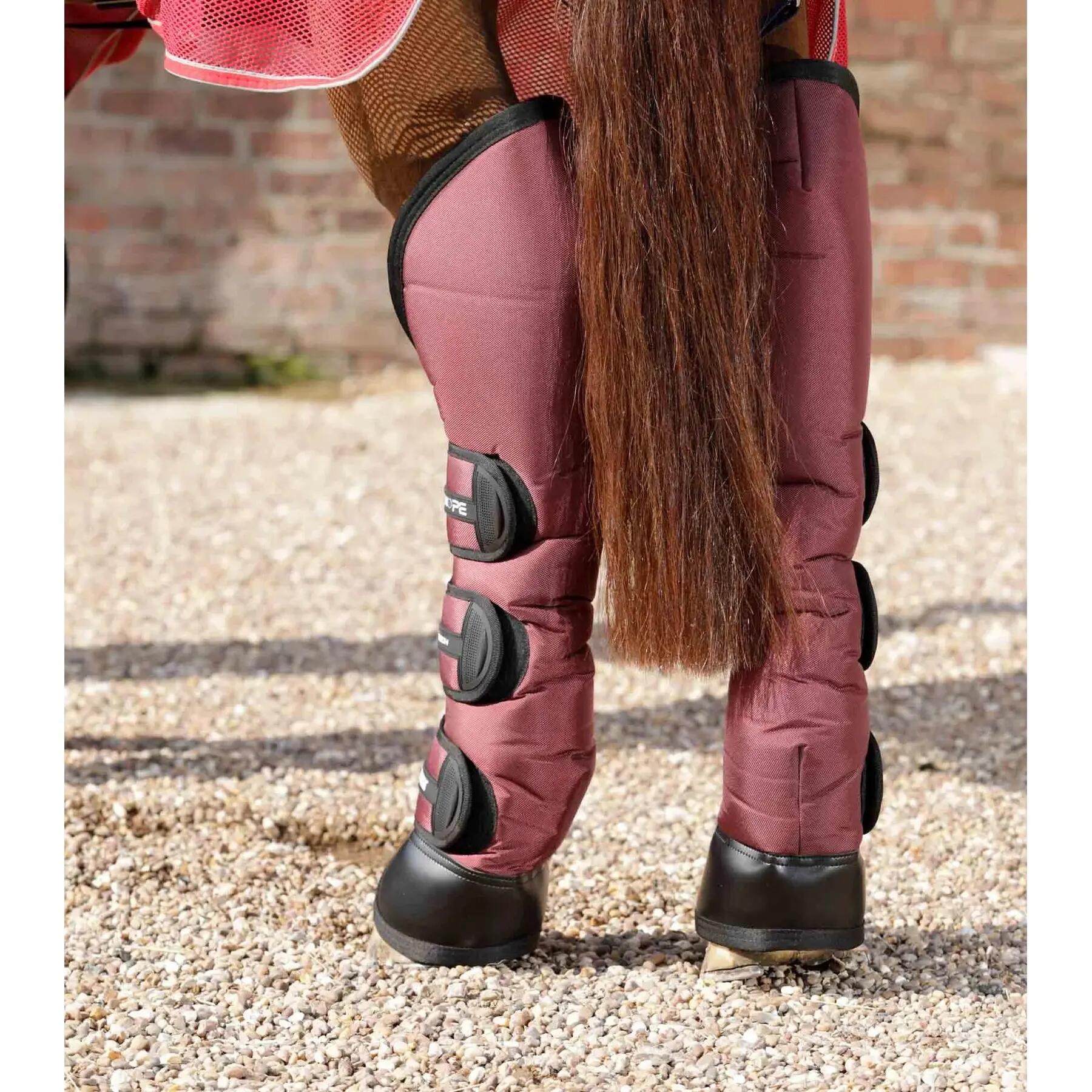 Transportlaarzen voor paarden Premier Equine Ballistic Pro-Tech 4/5