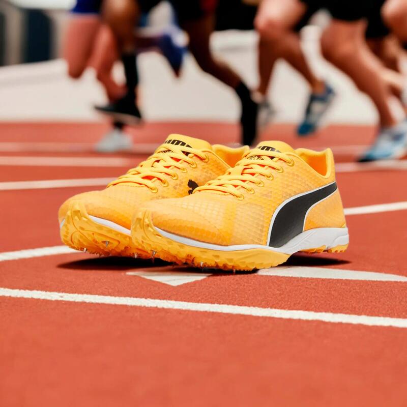 Pantofi alergare cu cuie pentru pista - evoSPEED Haraka 8 Unisex - Sun Stream |…
