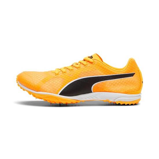 Chaussures d'athlétisme Puma