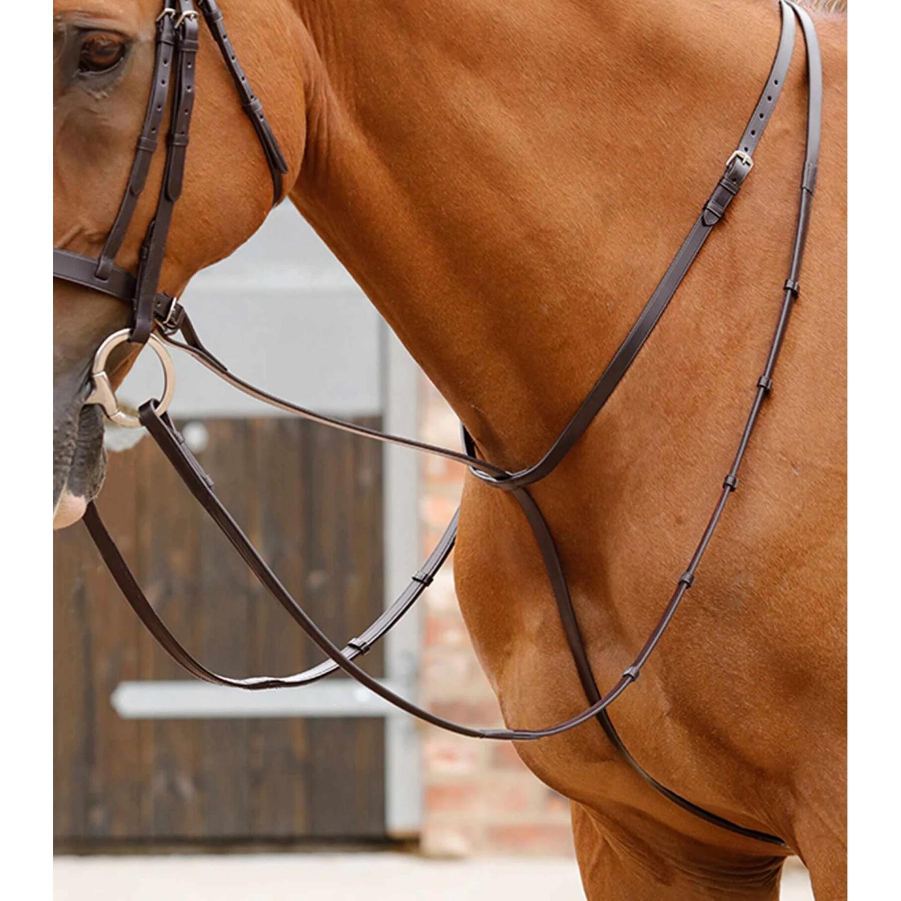 Martingala para caballos Premier Equine Gressan 2/4