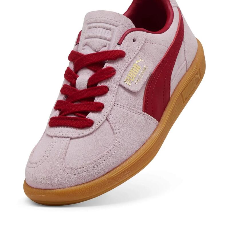 Kosarak Puma Palermo
