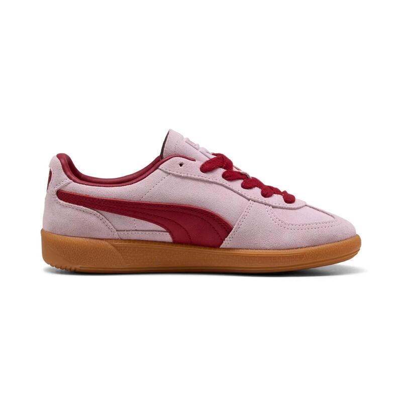 Kosarak Puma Palermo