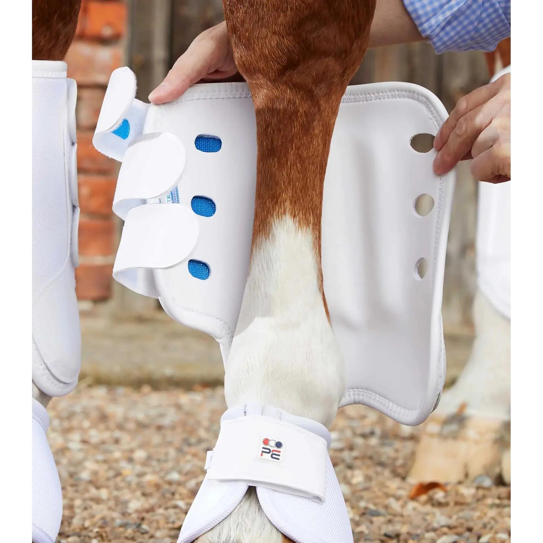 Voorlaarzen voor paarden Premier Equine Air Cooled Original Eventing 2/3