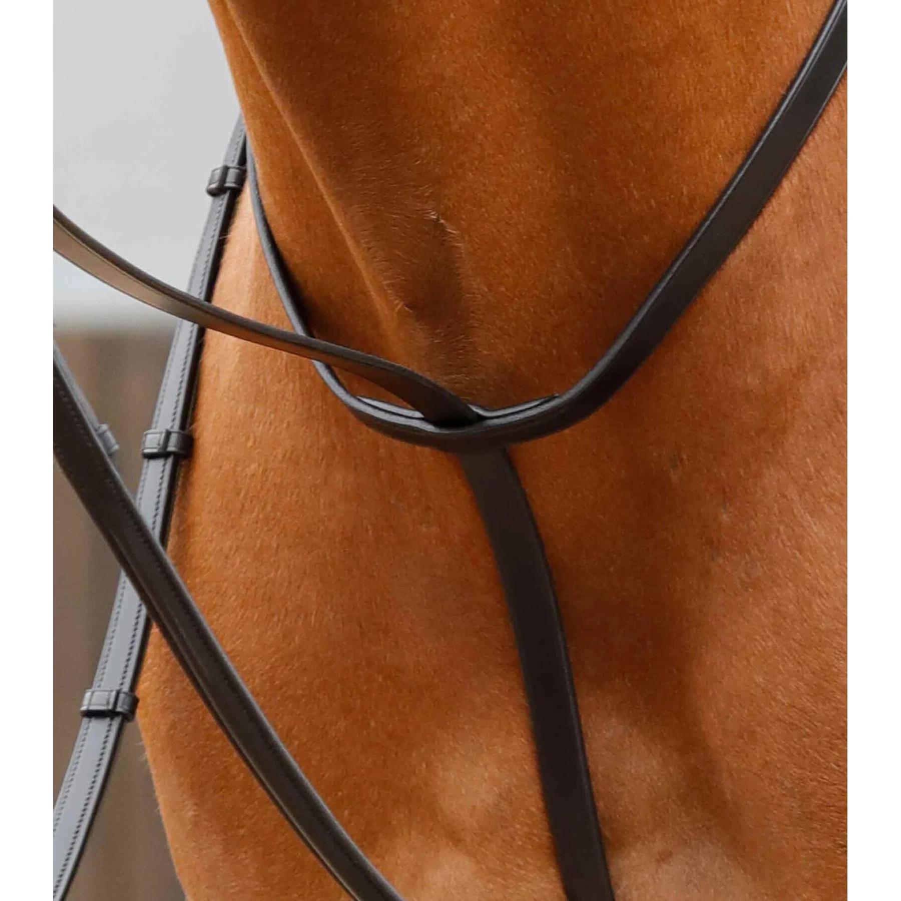 Martingale para cavalos Premier Equine Gressan 3/4