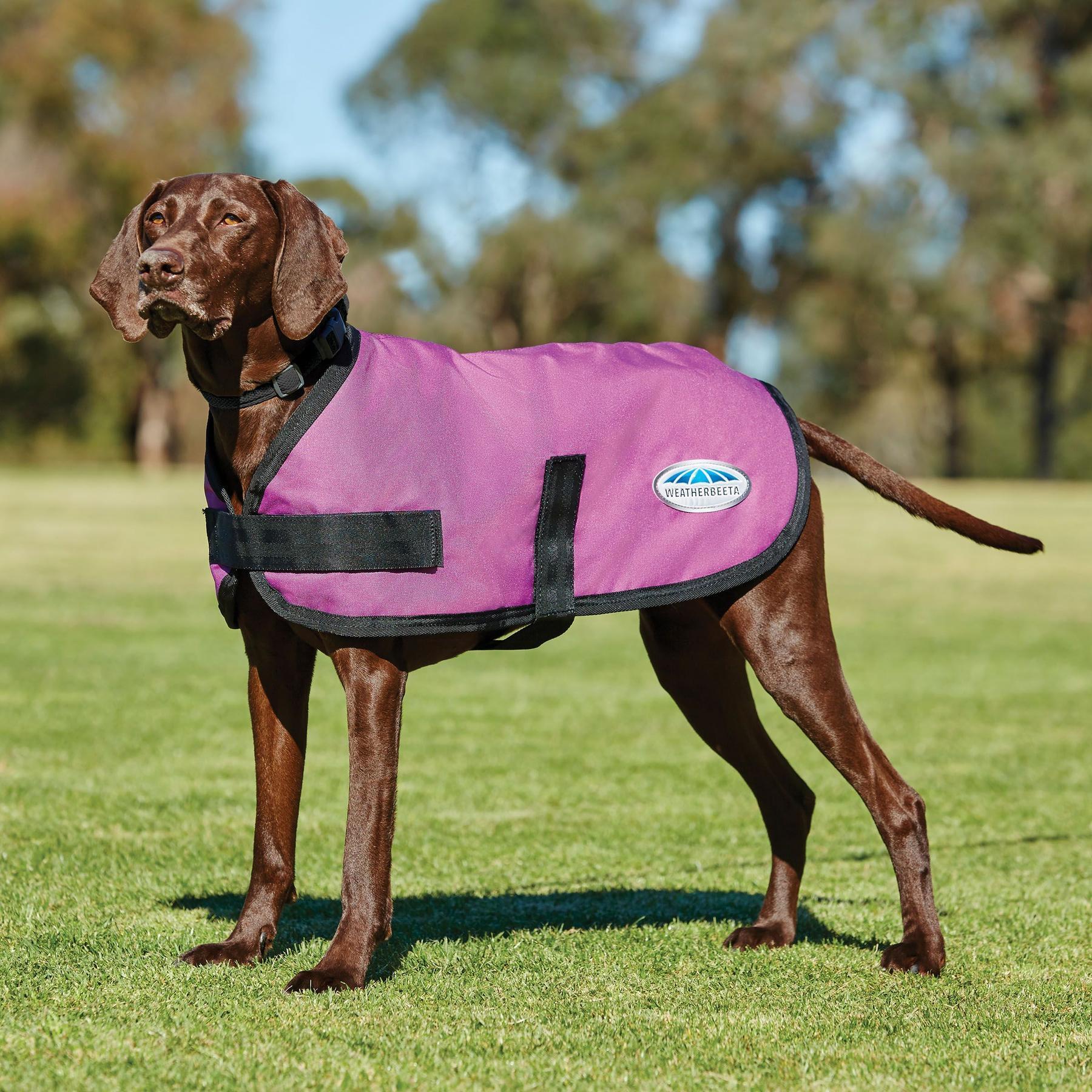 Cappottino modello classico per cani Weatherbeeta Comfitec 2/2