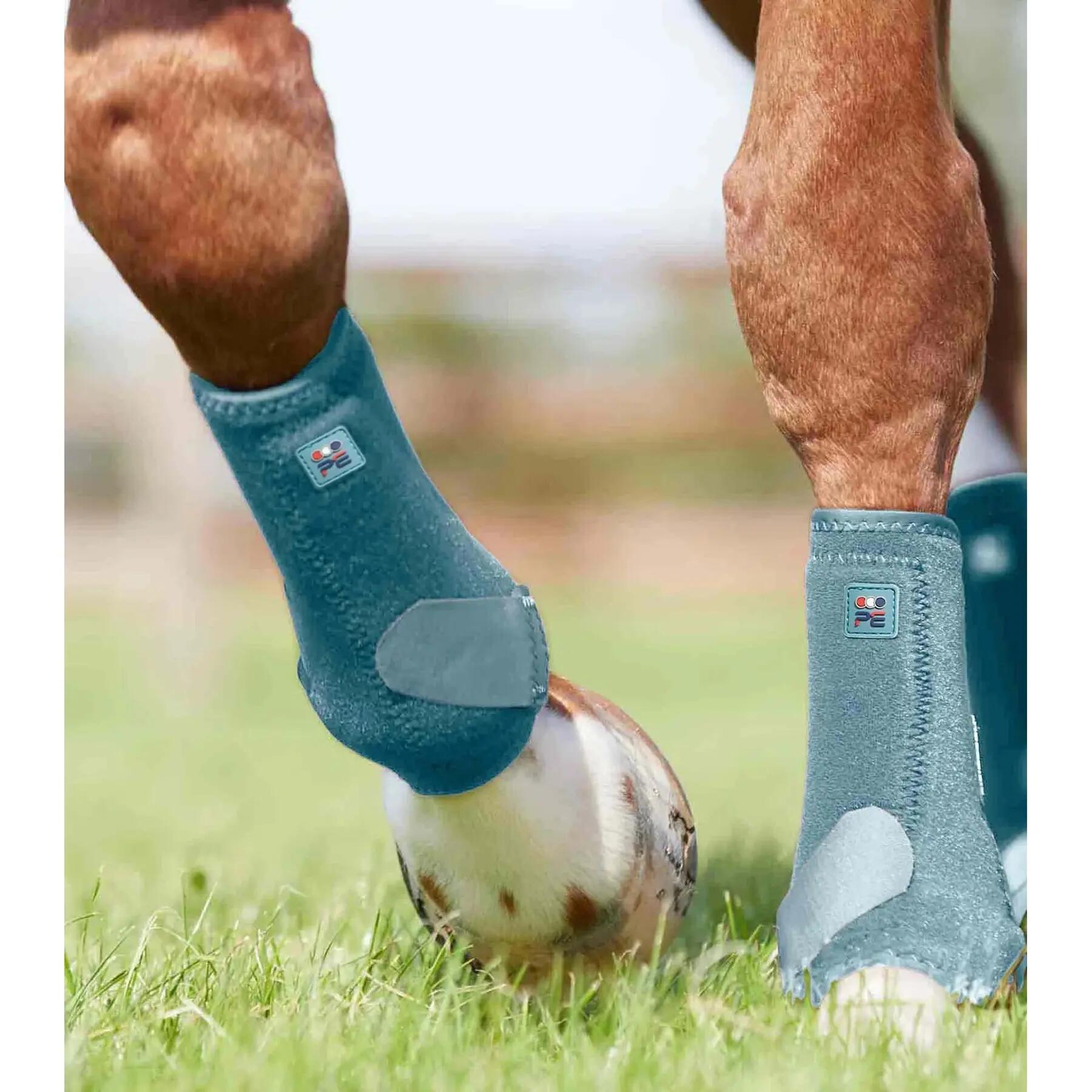 Guêtres pour cheval Premier Equine Air-Tech Sports Medecine 2/4