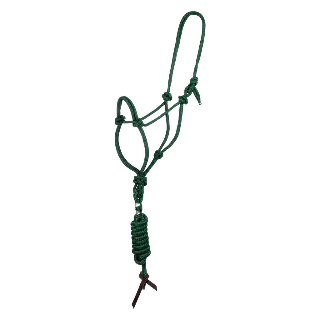 Knotted rope halter with lead