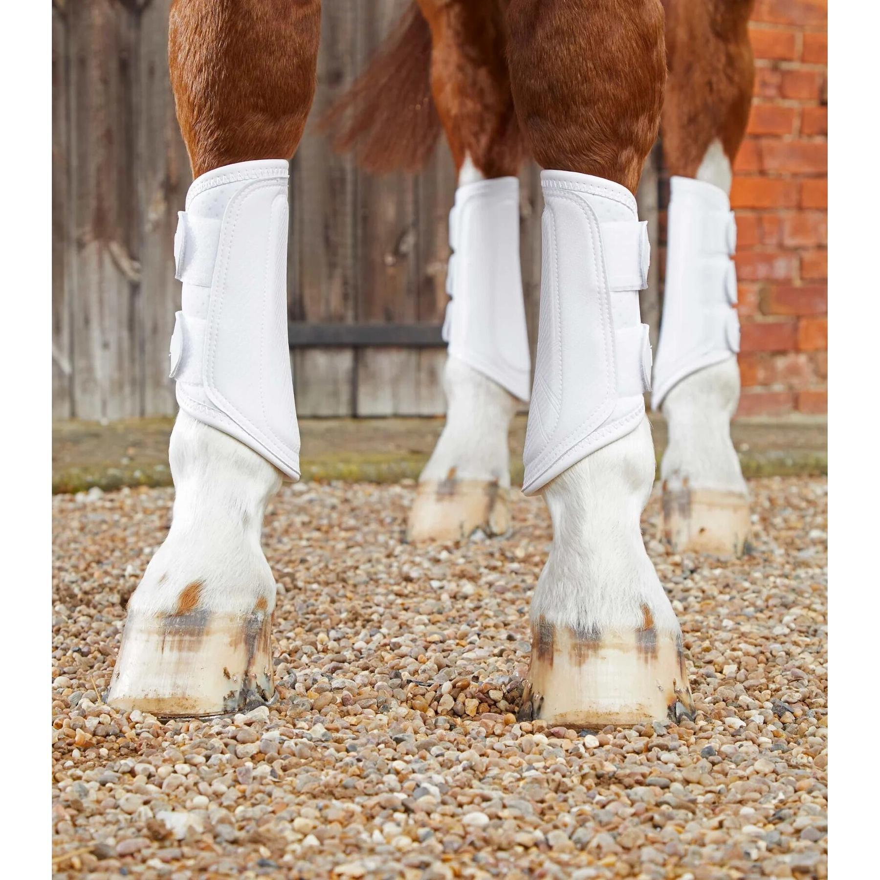 Dubbele vergrendeling paardenlaarzen Premier Equine Air-Tech 2/4