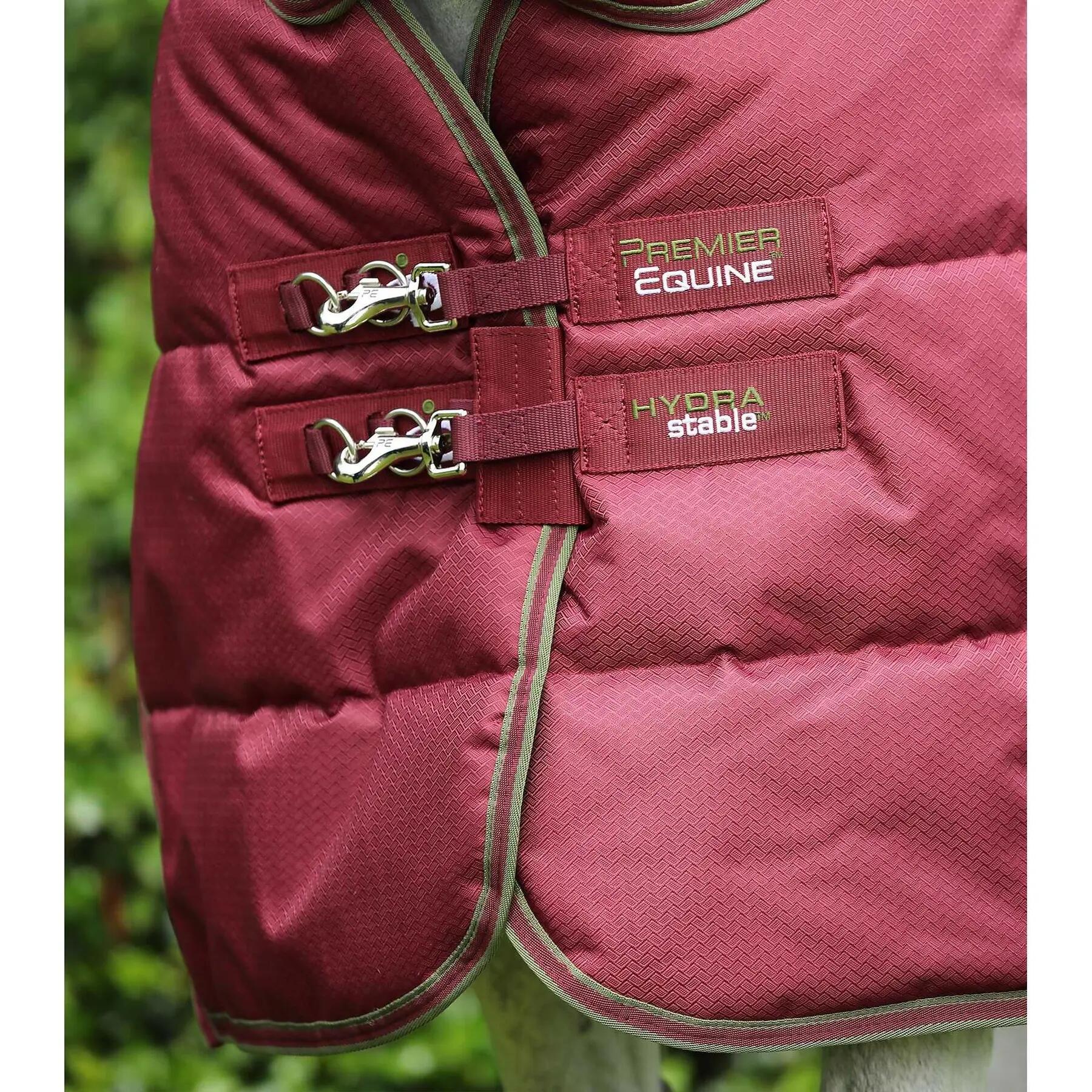 Couverture d'écurie pour cheval avec couvre cou Premier Equine Hydra 350g 2/6
