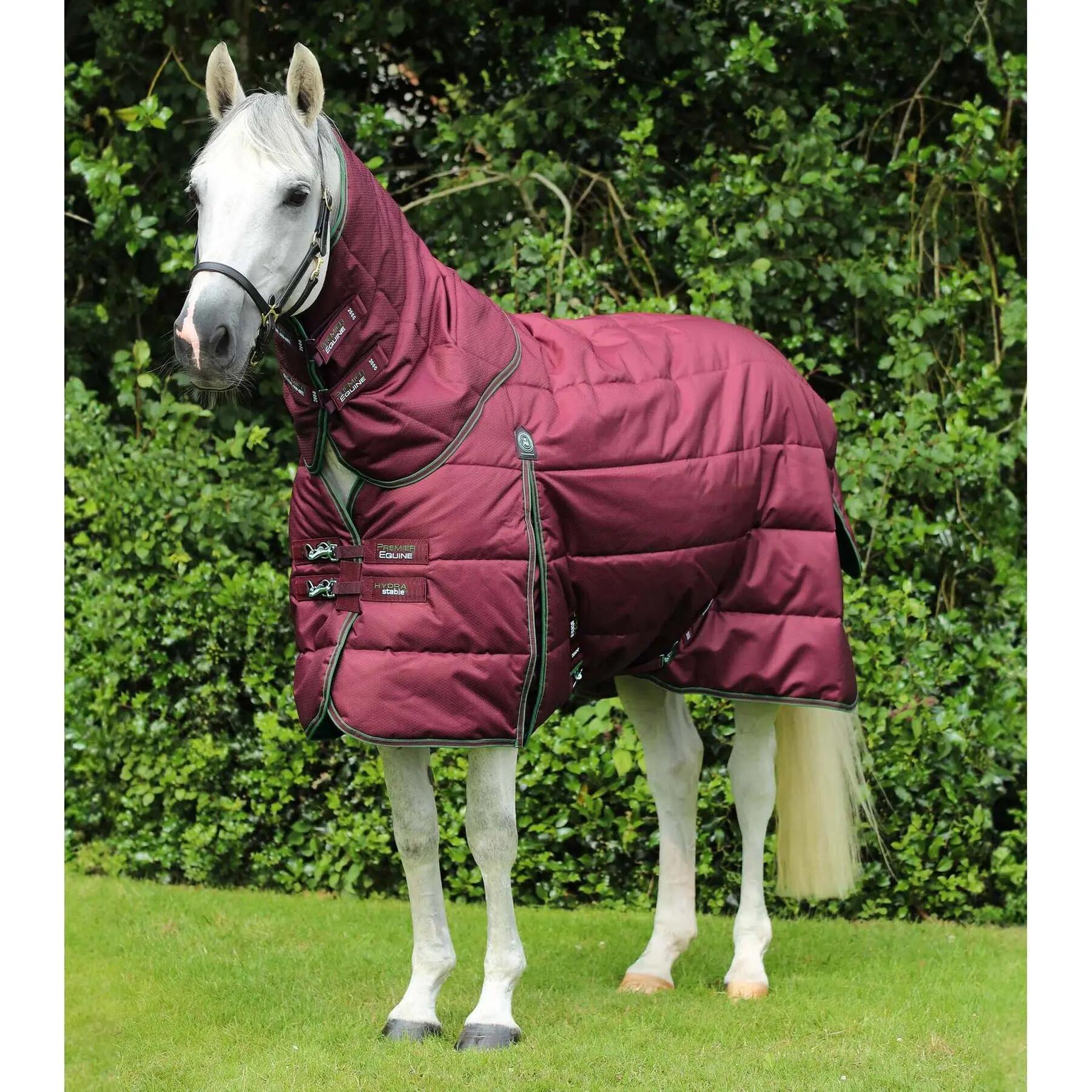 PREMIER EQUINE picture