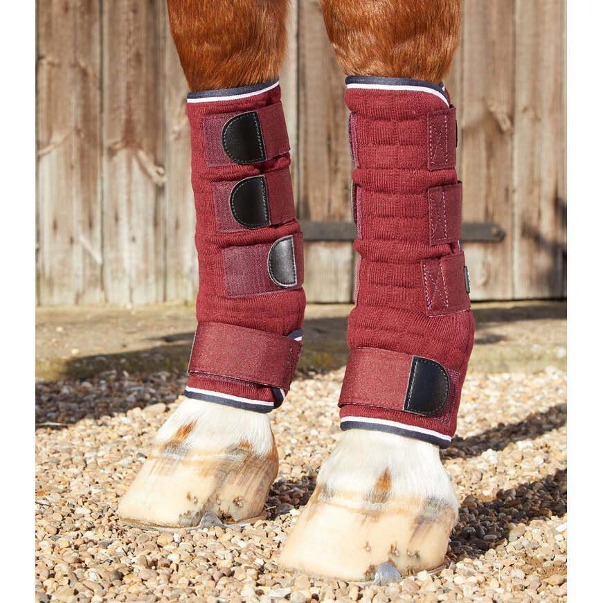 PREMIER EQUINE picture