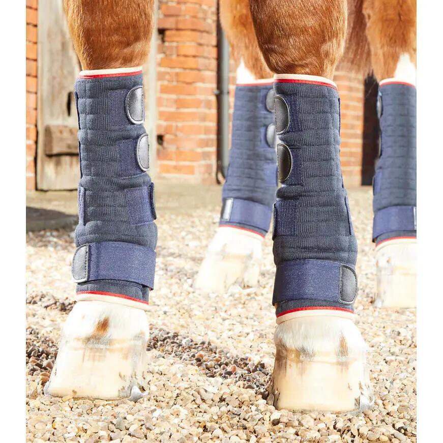 PREMIER EQUINE picture