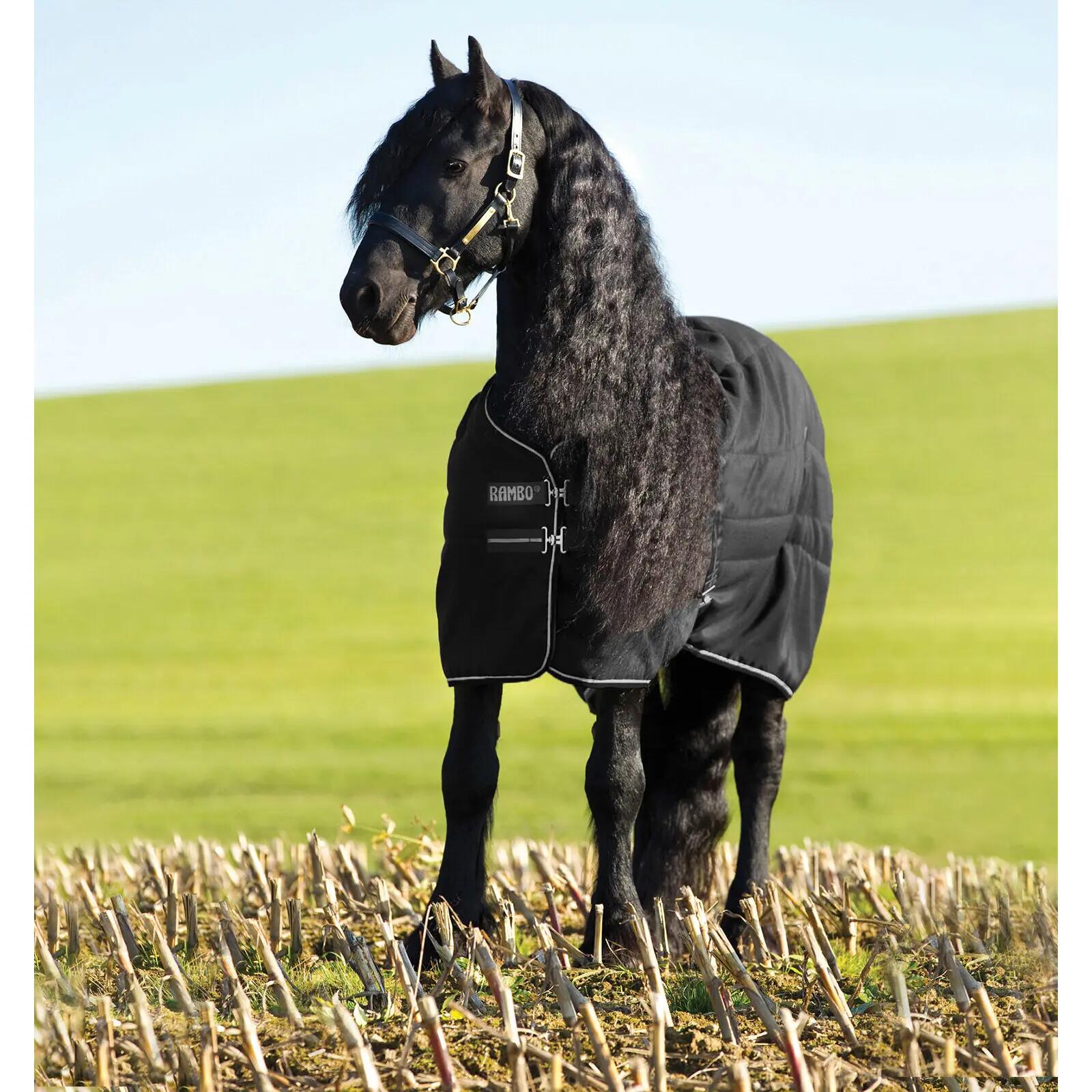 HORSEWARE IRELAND picture
