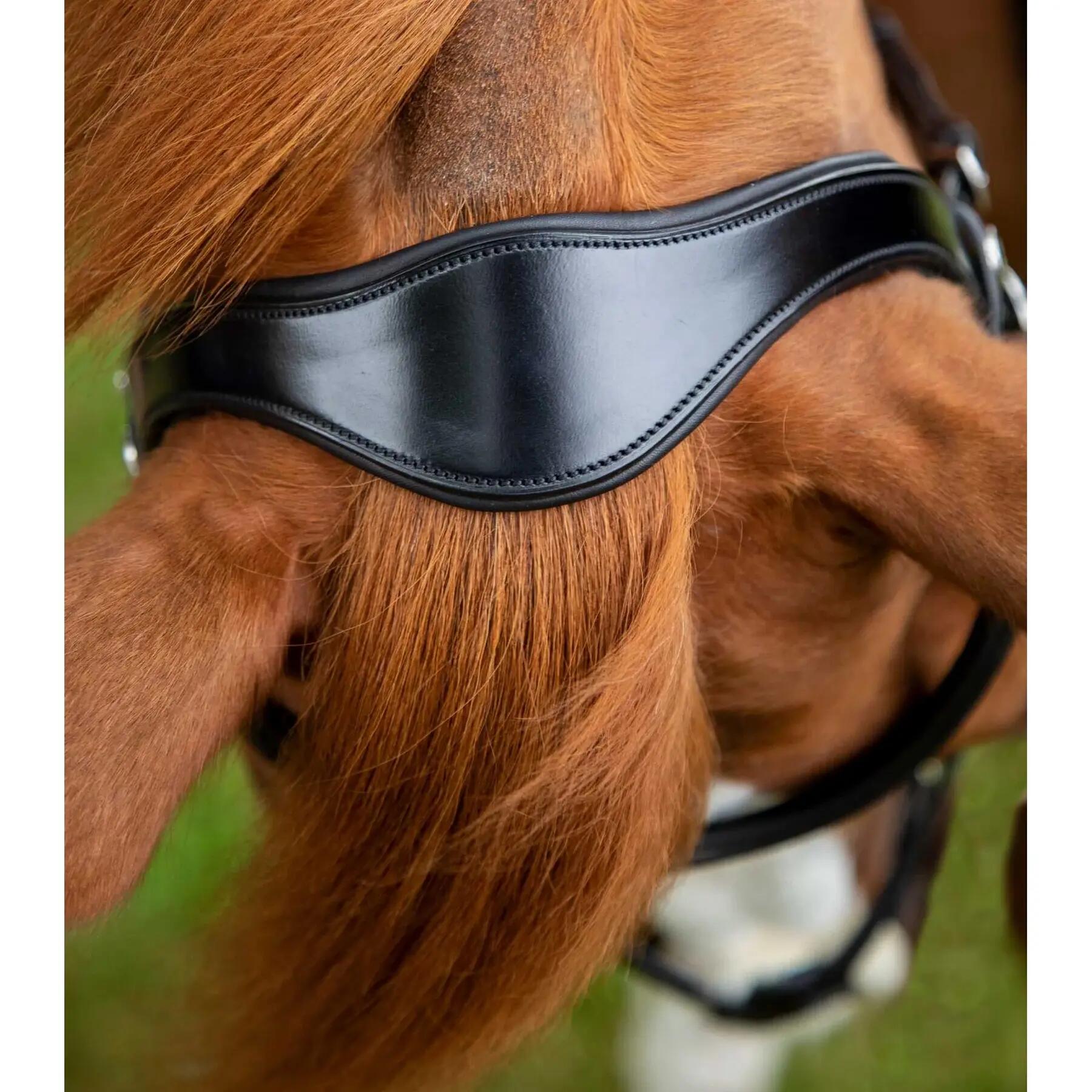 Briglia snaffle Premier Equine Glorioso 4/4