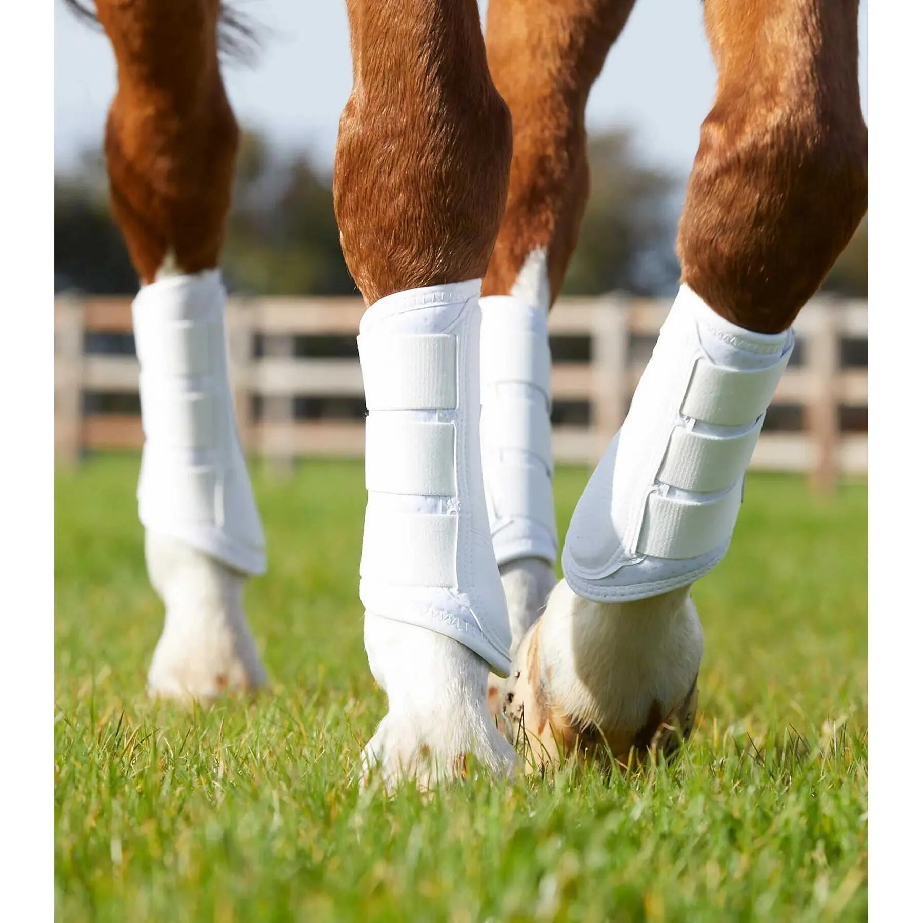 Guêtres pour cheval à verrouillage simple Premier Equine Air-Tech 2/4