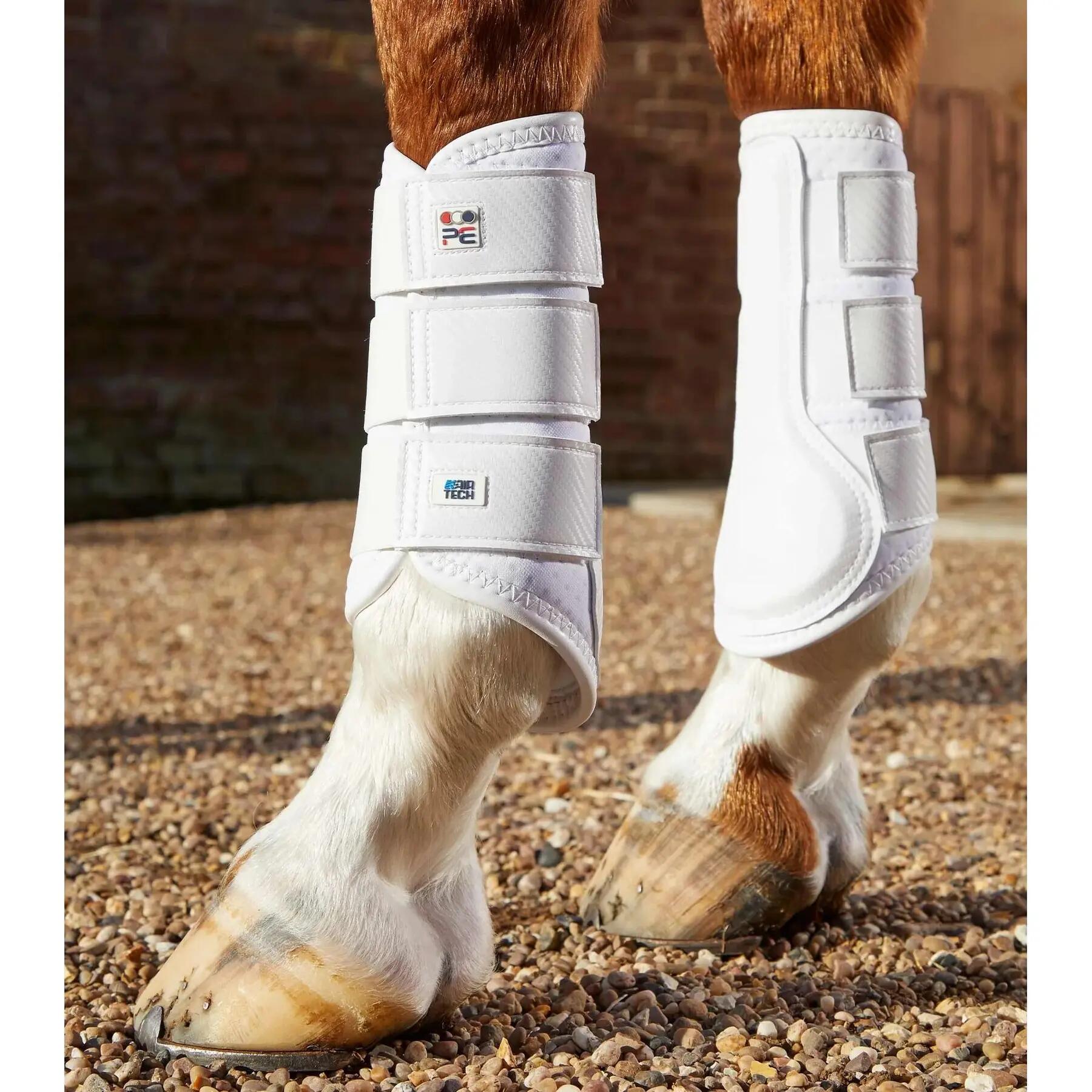 PREMIER EQUINE picture