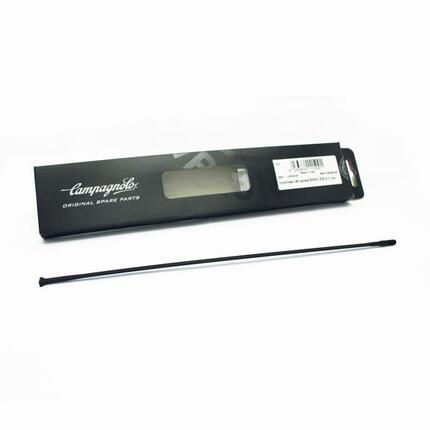 Promień przedni/tylny prawy Campagnolo Campagnolo Eurus 279,2