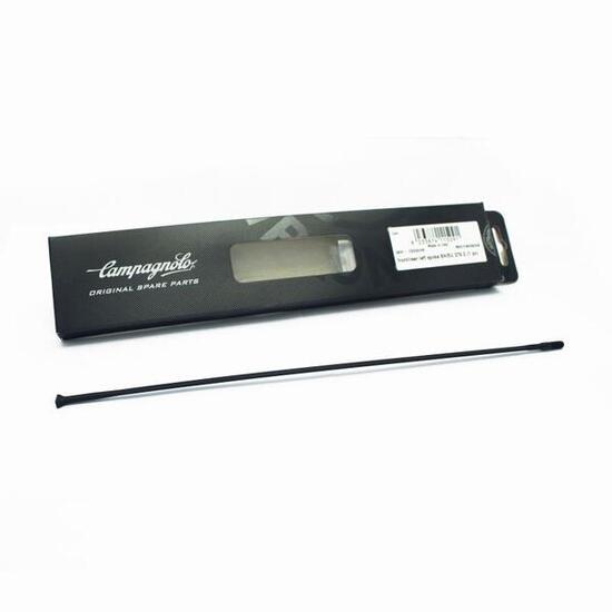 Promień przedni/tylny prawy Campagnolo Campagnolo Eurus 279,2